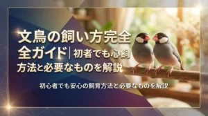 文鳥の飼い方完全ガイド｜初心者でも安心の飼育方法と必要なものを解説