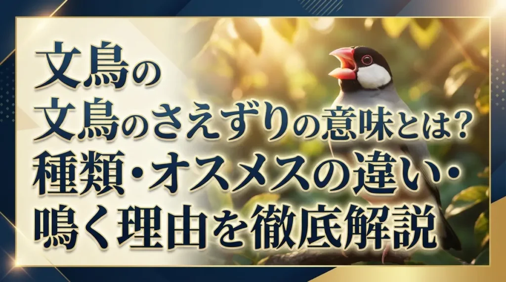 文鳥のさえずりの意味とは？種類・オスメスの違い・鳴く理由を徹底解説