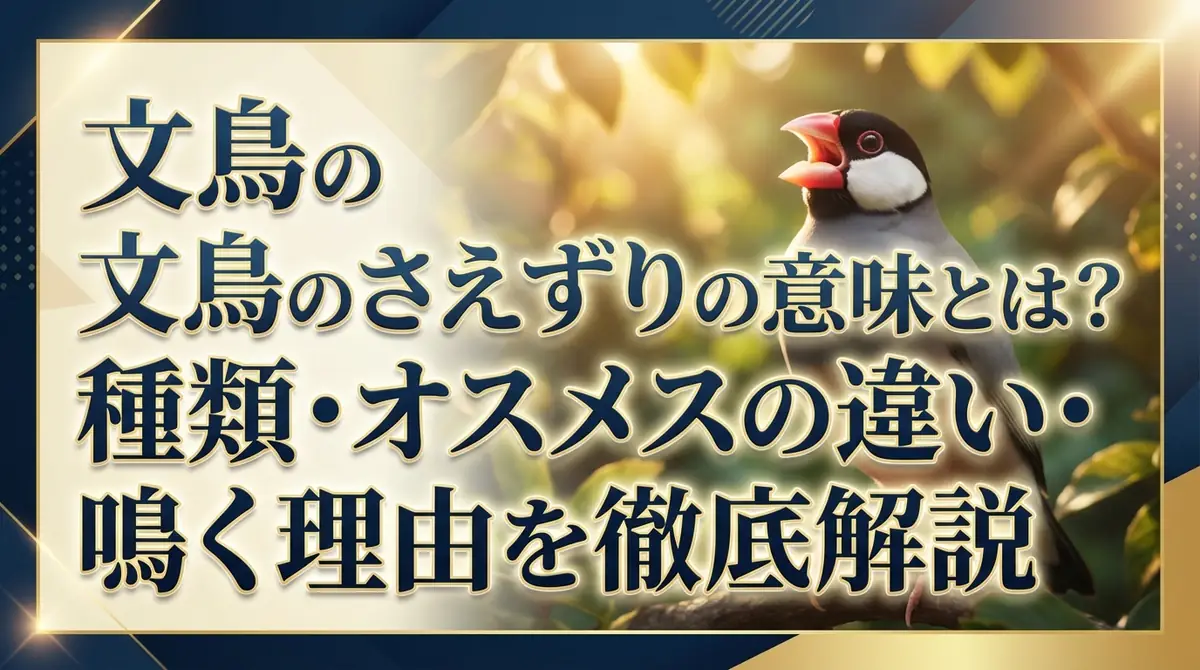 文鳥のさえずりの意味とは？種類・オスメスの違い・鳴く理由を徹底解説