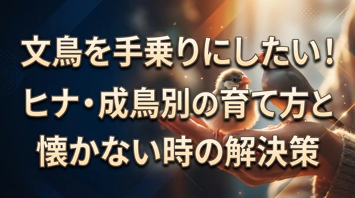 文鳥を手乗りにしたい！ヒナ・成鳥別の育て方と懐かない時の解決策