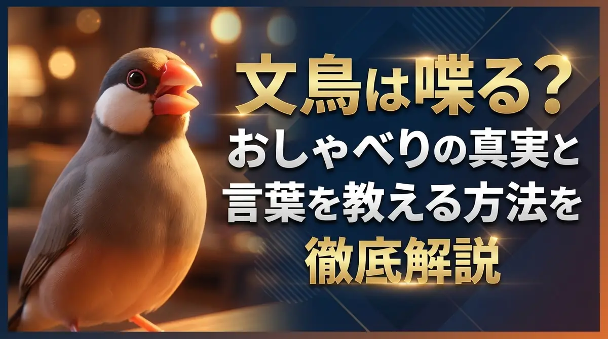 文鳥は喋る?おしゃべりの真実と言葉を教える方法を徹底解説