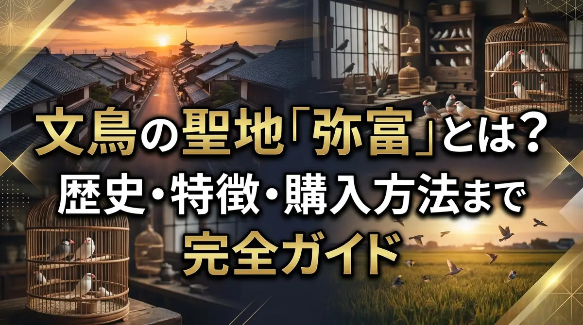 文鳥の聖地「弥富」とは？歴史・特徴・購入方法まで完全ガイド
