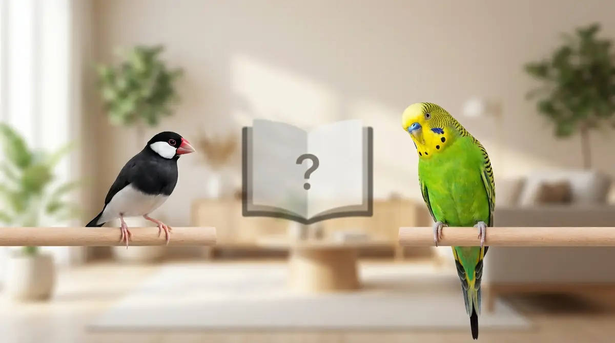 文鳥とインコの性格を比較｜どっちが自分に合う？