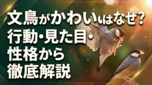 文鳥がかわいいのはなぜ？行動・見た目・性格から徹底解説