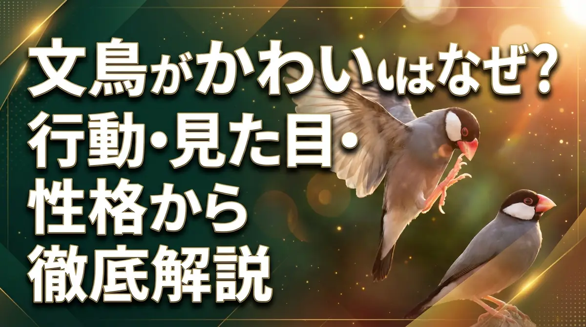 文鳥がかわいいのはなぜ？行動・見た目・性格から徹底解説