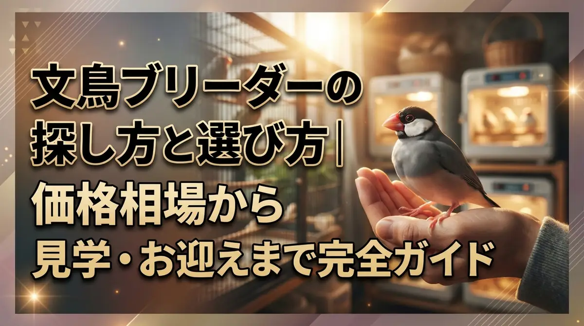 文鳥ブリーダーの探し方と選び方｜価格相場から見学・お迎えまで完全ガイド