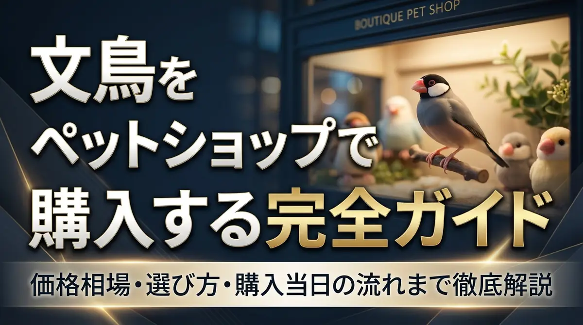 文鳥をペットショップで購入する完全ガイド｜価格相場・選び方・購入当日の流れまで徹底解説