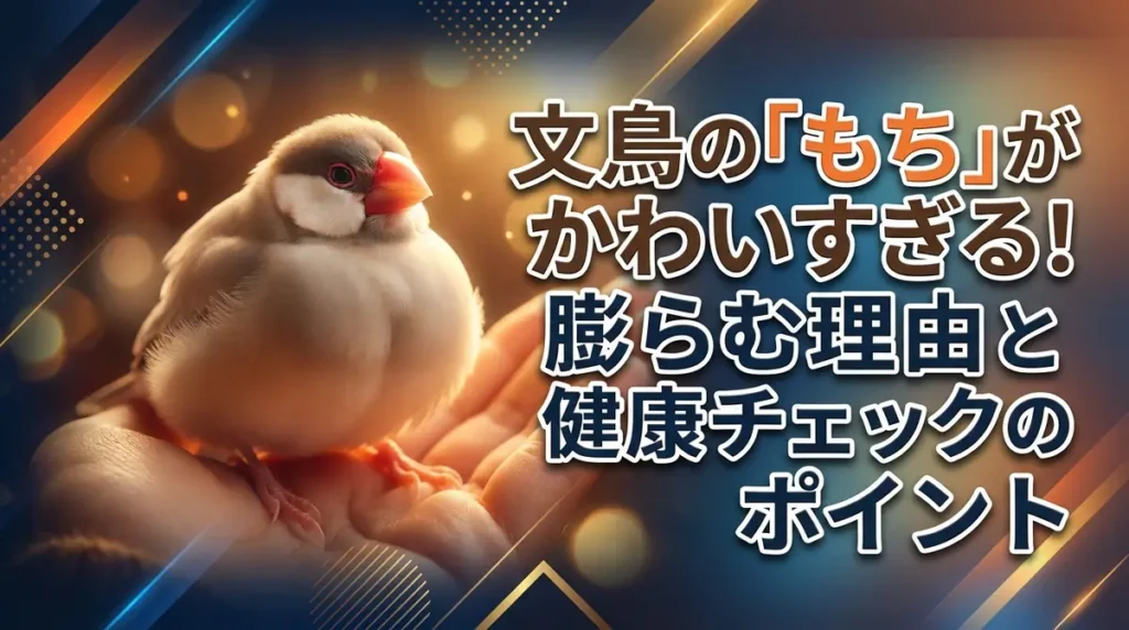 文鳥の「もち」がかわいすぎる！膨らむ理由と健康チェックのポイント