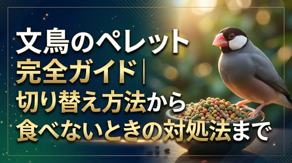 文鳥のペレット完全ガイド｜切り替え方法から食べないときの対処法まで
