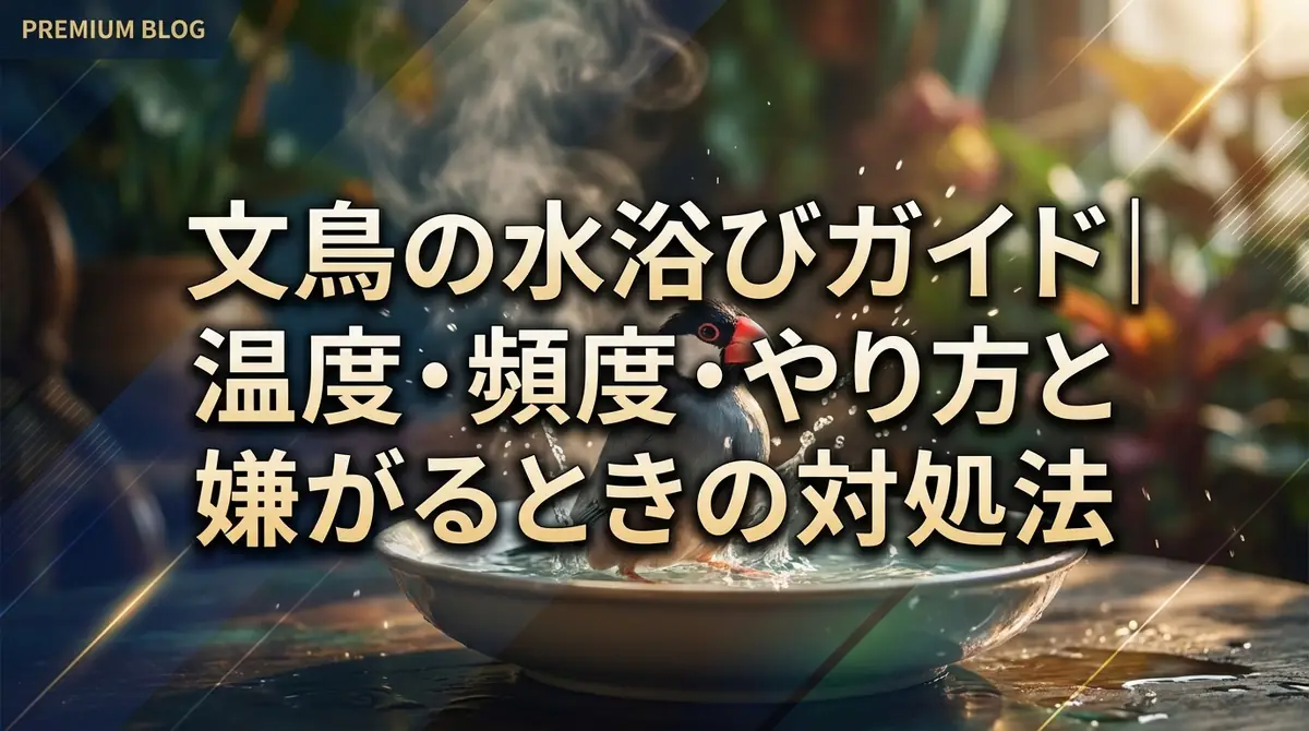 文鳥の水浴びガイド｜温度・頻度・やり方と嫌がるときの対処法