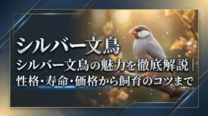 シルバー文鳥の魅力を徹底解説｜性格・寿命・価格から飼育のコツまで