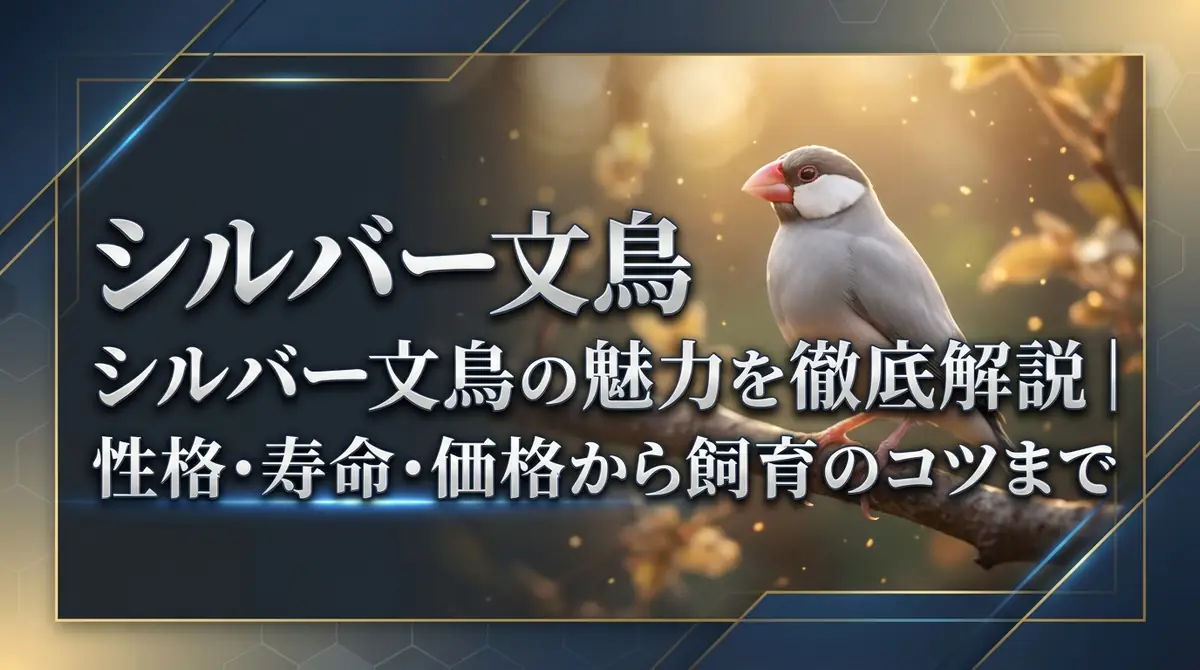 シルバー文鳥の魅力を徹底解説｜性格・寿命・価格から飼育のコツまで
