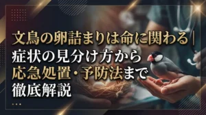 文鳥の卵詰まりは命に関わる｜症状の見分け方から応急処置・予防法まで徹底解説