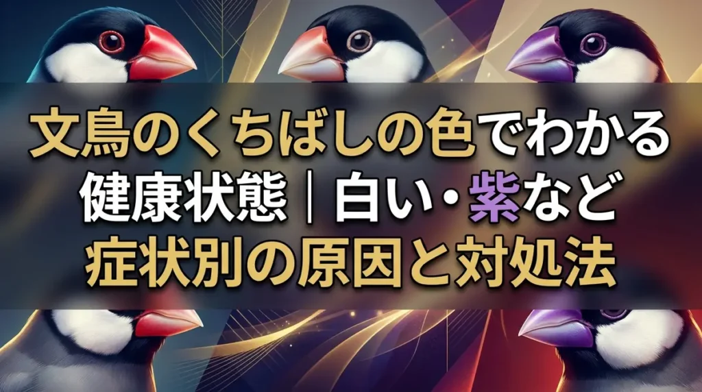 文鳥のくちばしの色でわかる健康状態｜白い・紫など症状別の原因と対処法