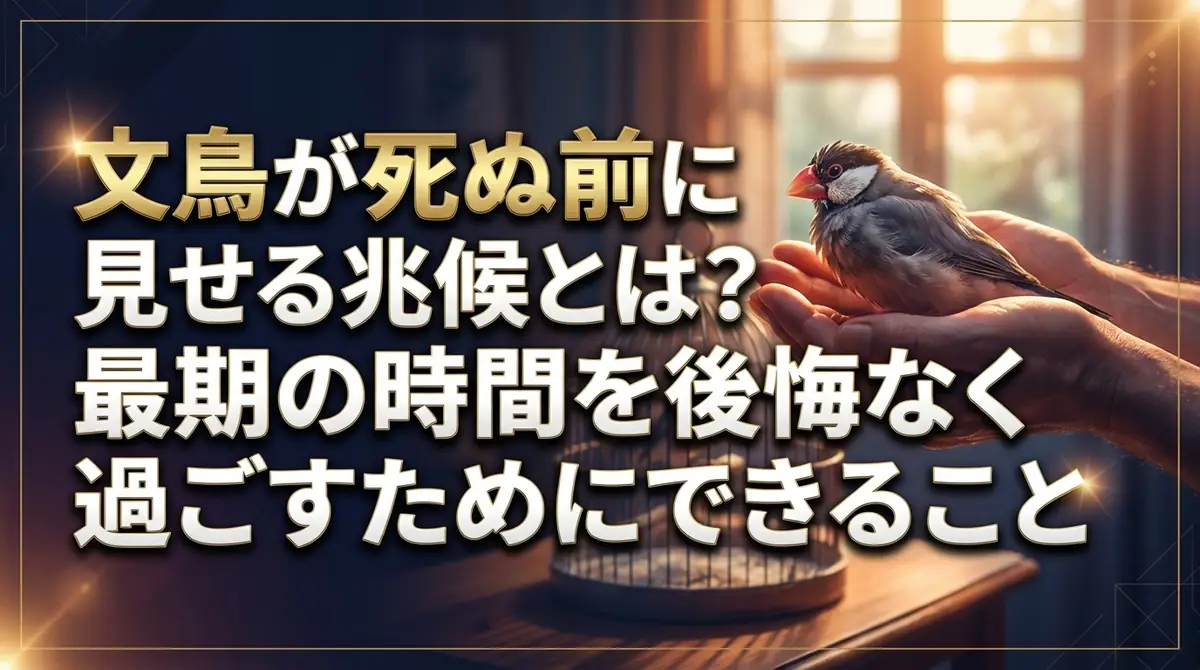 文鳥が死ぬ前に見せる兆候とは?最期の時間を後悔なく過ごすためにできること