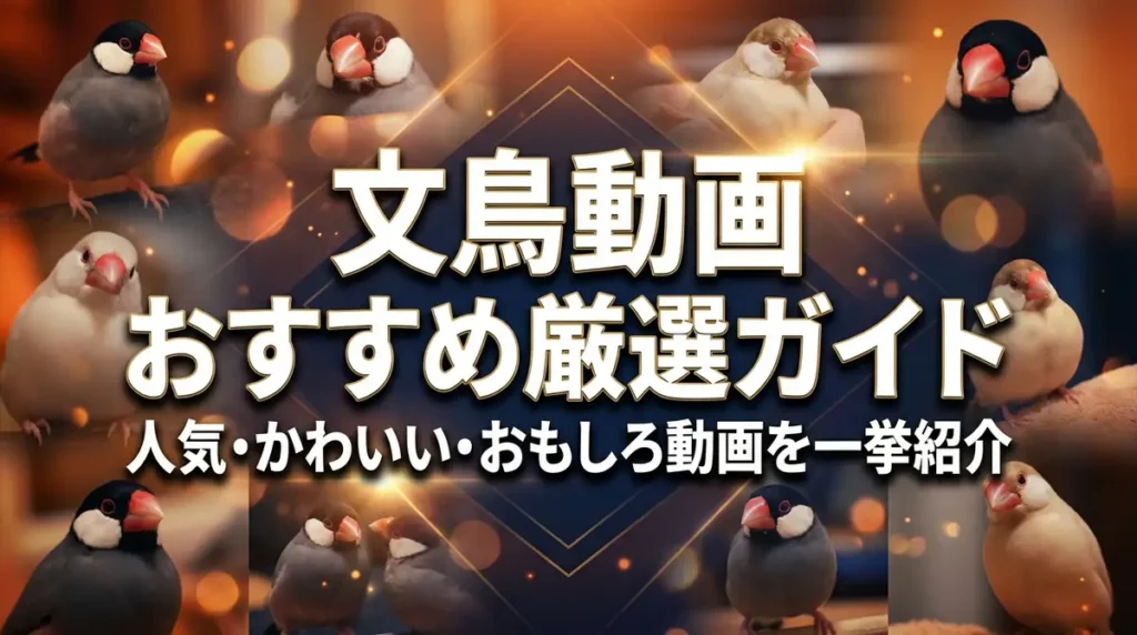 文鳥動画おすすめ厳選ガイド｜人気・かわいい・おもしろ動画を一挙紹介