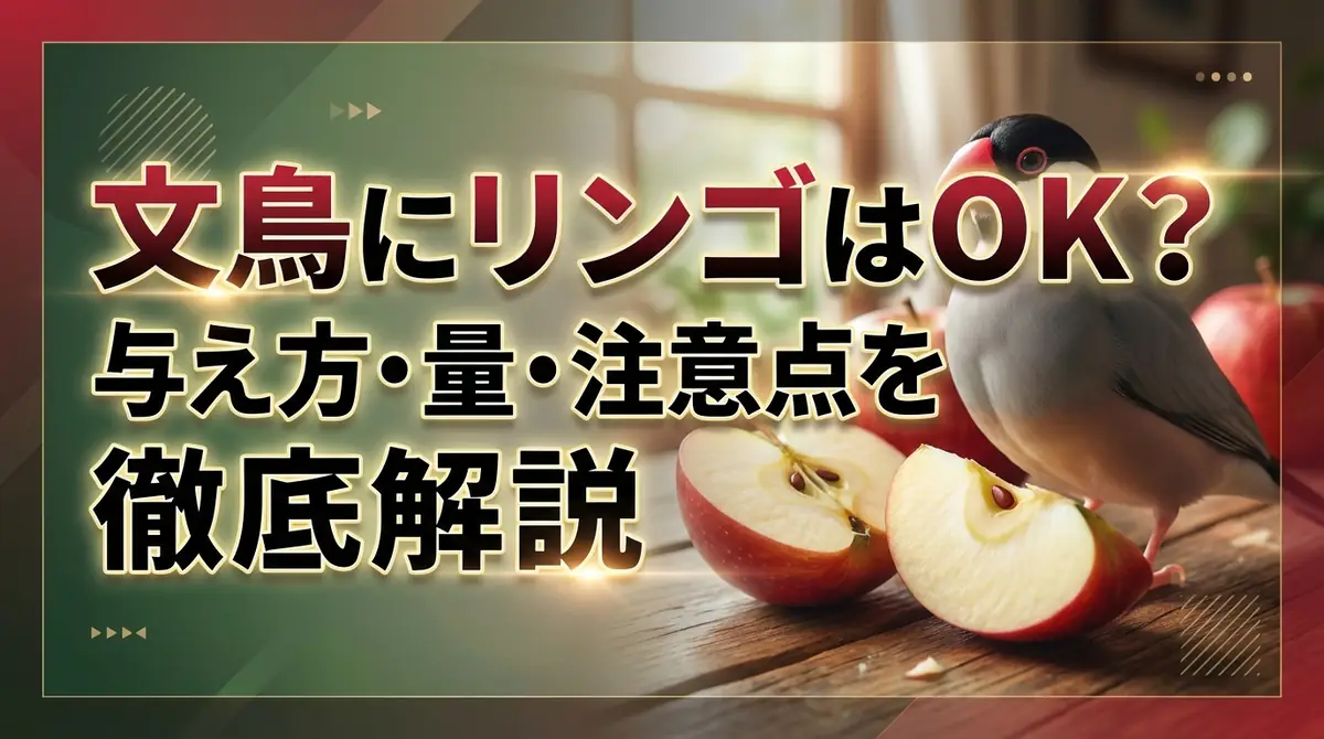 文鳥にリンゴはOK？与え方・量・注意点を徹底解説
