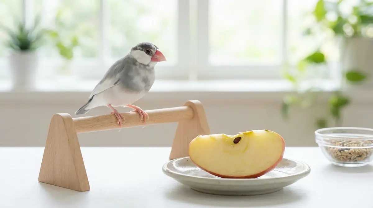 文鳥がリンゴを食べないときの対処法3選