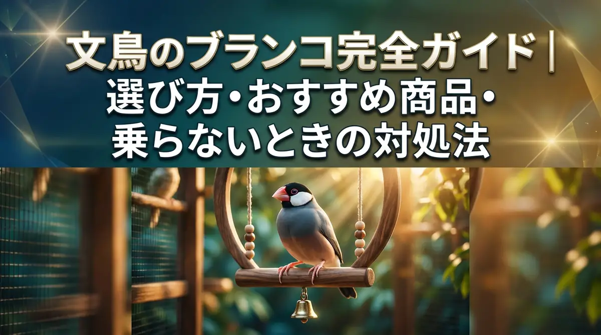 文鳥のブランコ完全ガイド|選び方・おすすめ商品・乗らないときの対処法