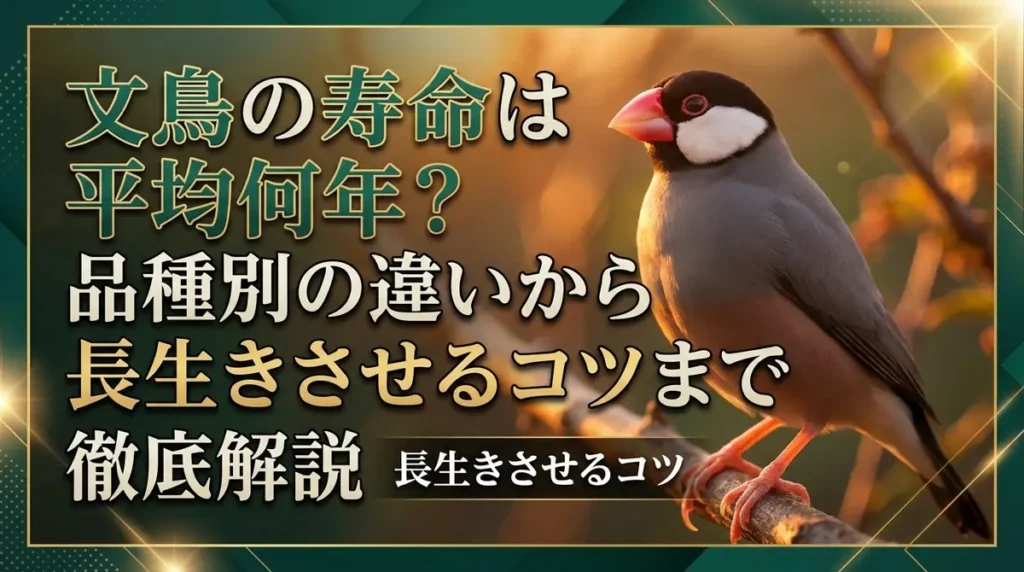 文鳥の寿命は平均何年？品種別の違いから長生きさせるコツまで徹底解説