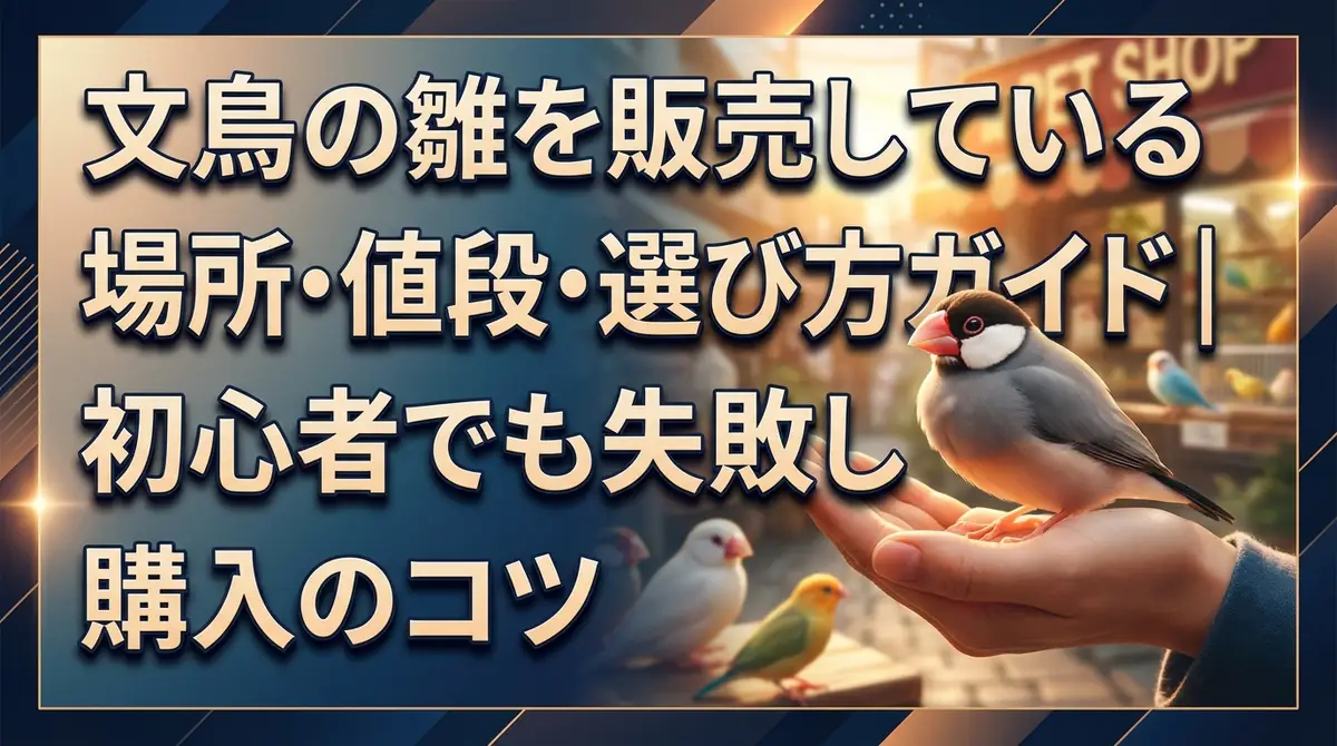 文鳥の雛を販売している場所・値段・選び方ガイド｜初心者でも失敗しない購入のコツ