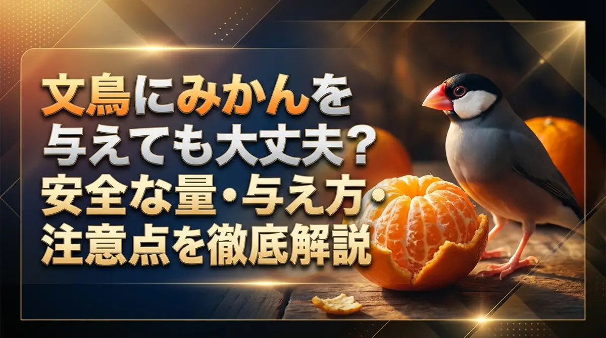 文鳥にみかんを与えても大丈夫?安全な量・与え方・注意点を徹底解説