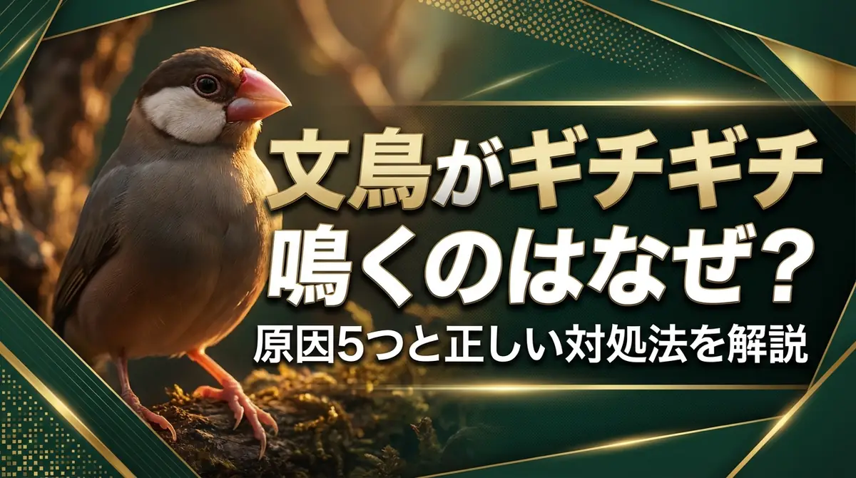 文鳥がギチギチ鳴くのはなぜ？原因5つと正しい対処法を解説