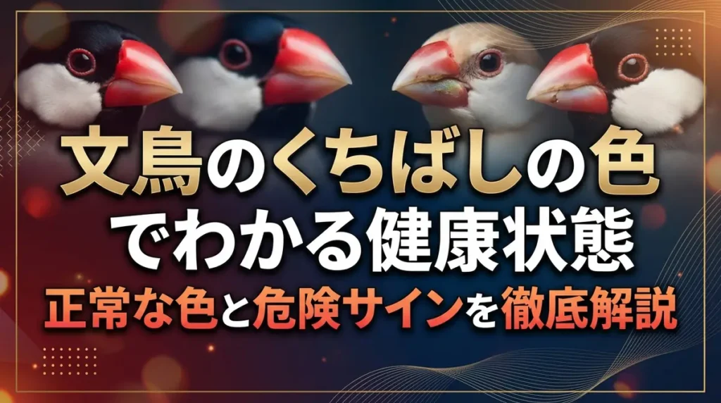 文鳥のくちばしの色でわかる健康状態｜正常な色と危険サインを徹底解説