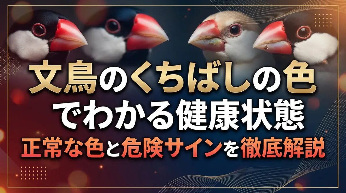 文鳥のくちばしの色でわかる健康状態｜正常な色と危険サインを徹底解説