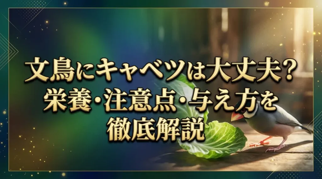 文鳥にキャベツは大丈夫？栄養・注意点・与え方を徹底解説