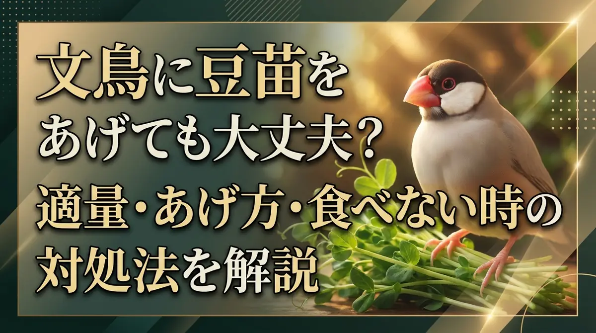 文鳥に豆苗をあげても大丈夫？適量・あげ方・食べない時の対処法を解説