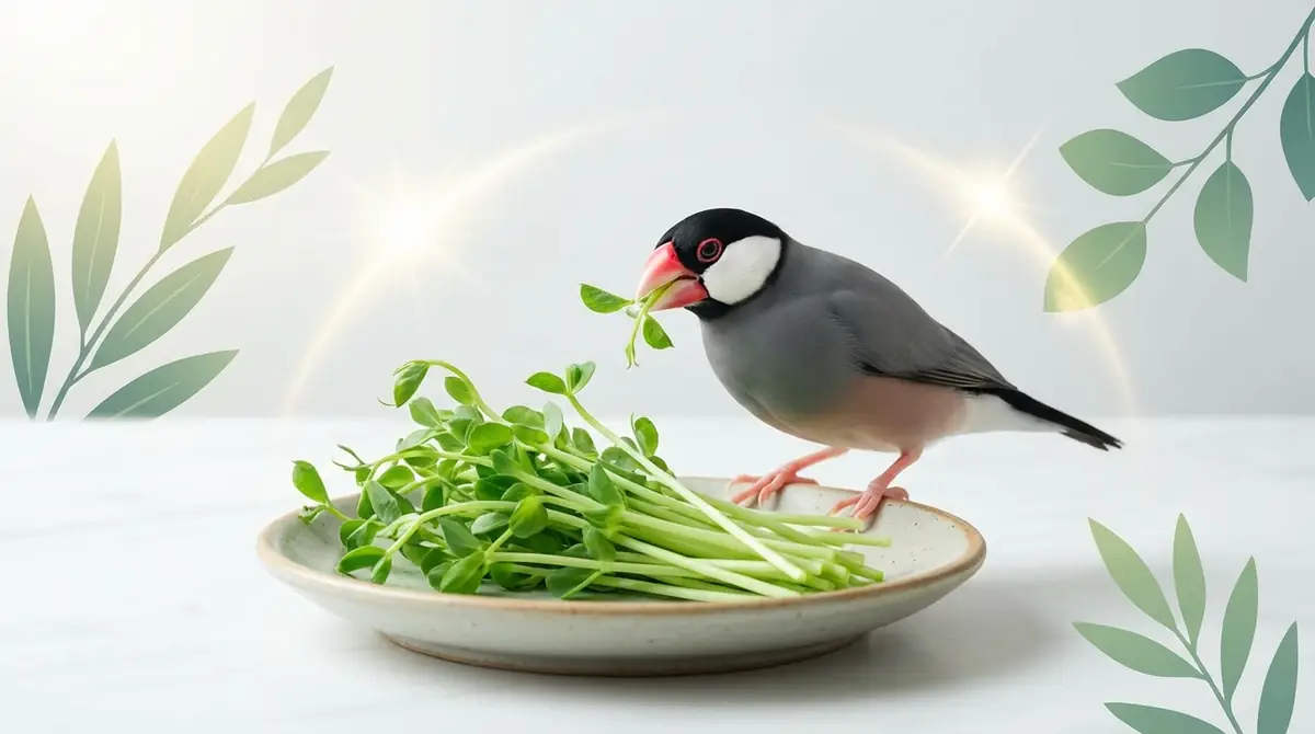 文鳥が豆苗を好む理由と栄養効果