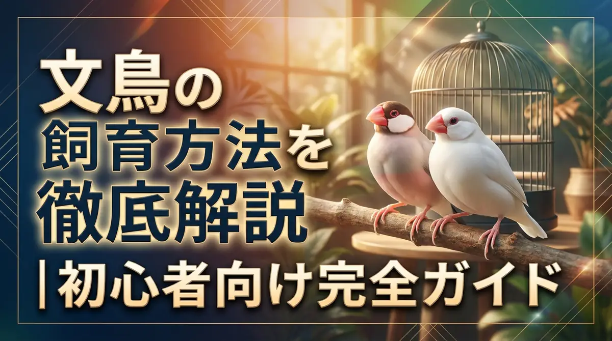 文鳥の飼育方法を徹底解説｜初心者向け完全ガイド