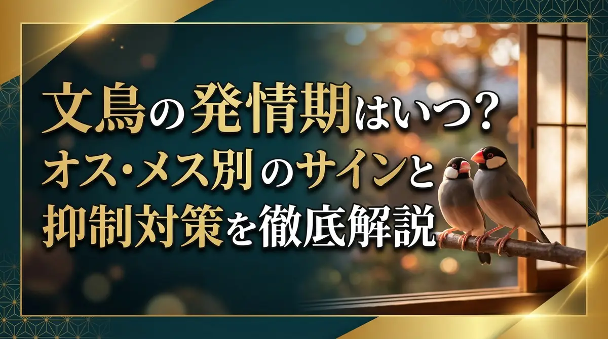 文鳥の発情期はいつ?オス・メス別のサインと抑制対策を徹底解説