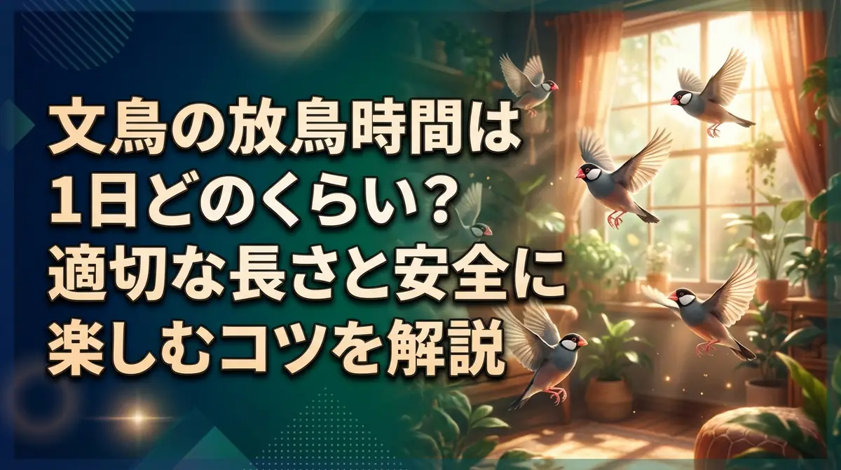 文鳥の放鳥時間は1日どのくらい?適切な長さと安全に楽しむコツを解説