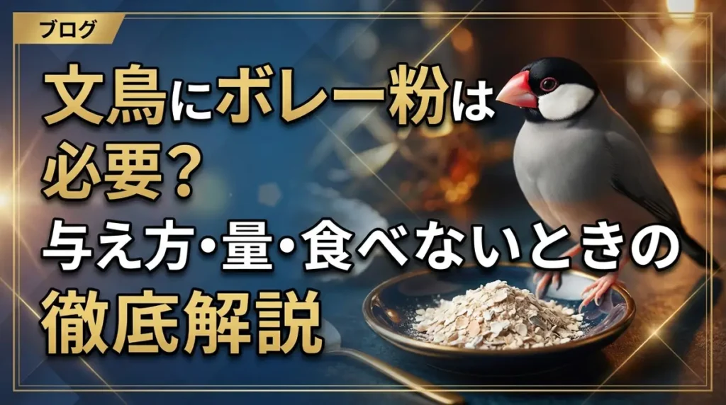 文鳥にボレー粉は必要？与え方・量・食べないときの対処法まで徹底解説