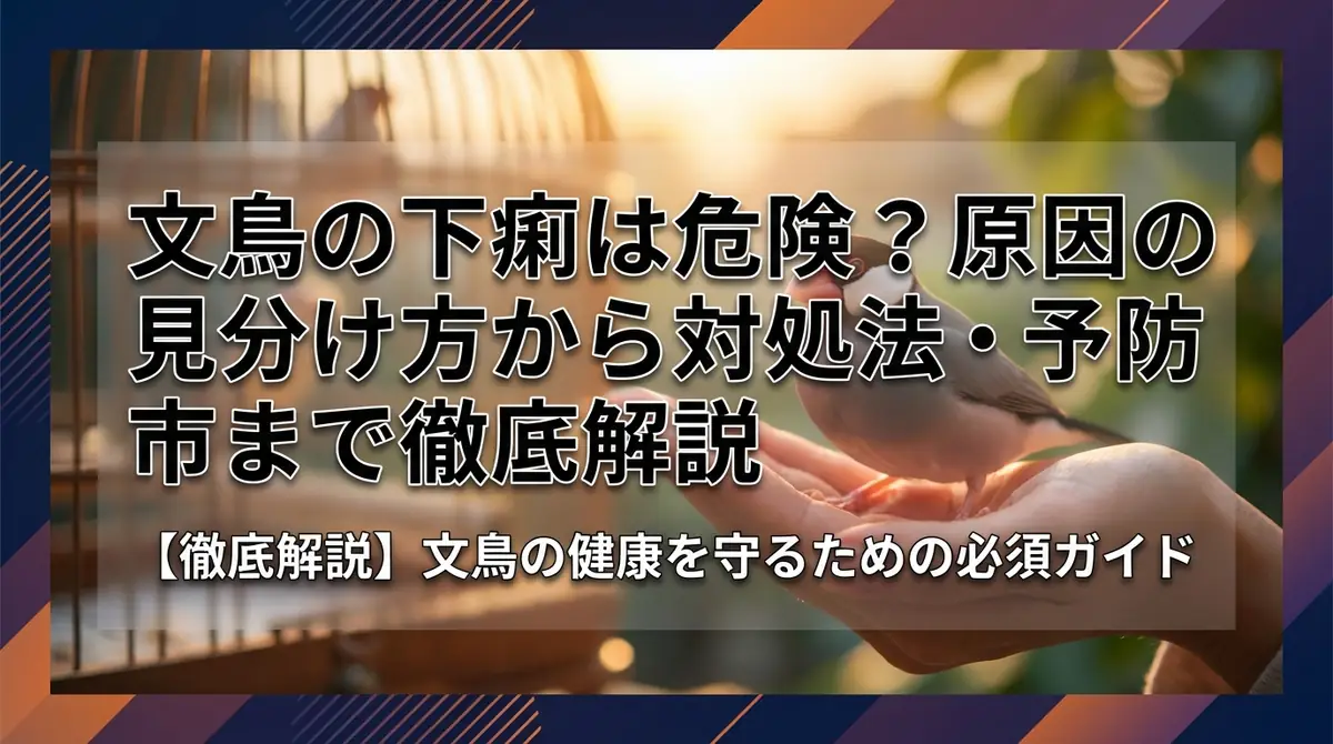 文鳥の下痢は危険？原因の見分け方から対処法・予防まで徹底解説