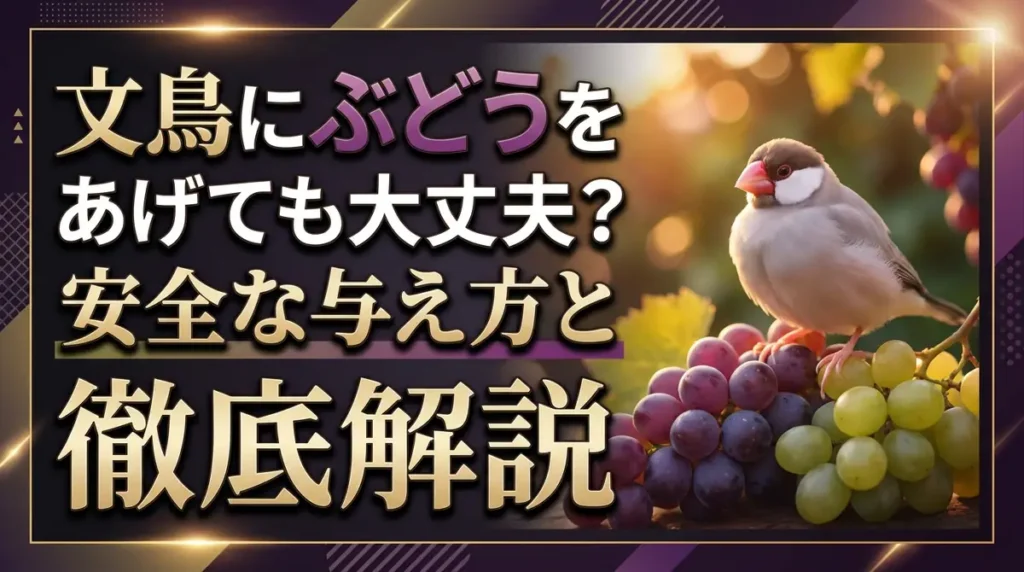文鳥にぶどうをあげても大丈夫？安全な与え方と注意点を徹底解説