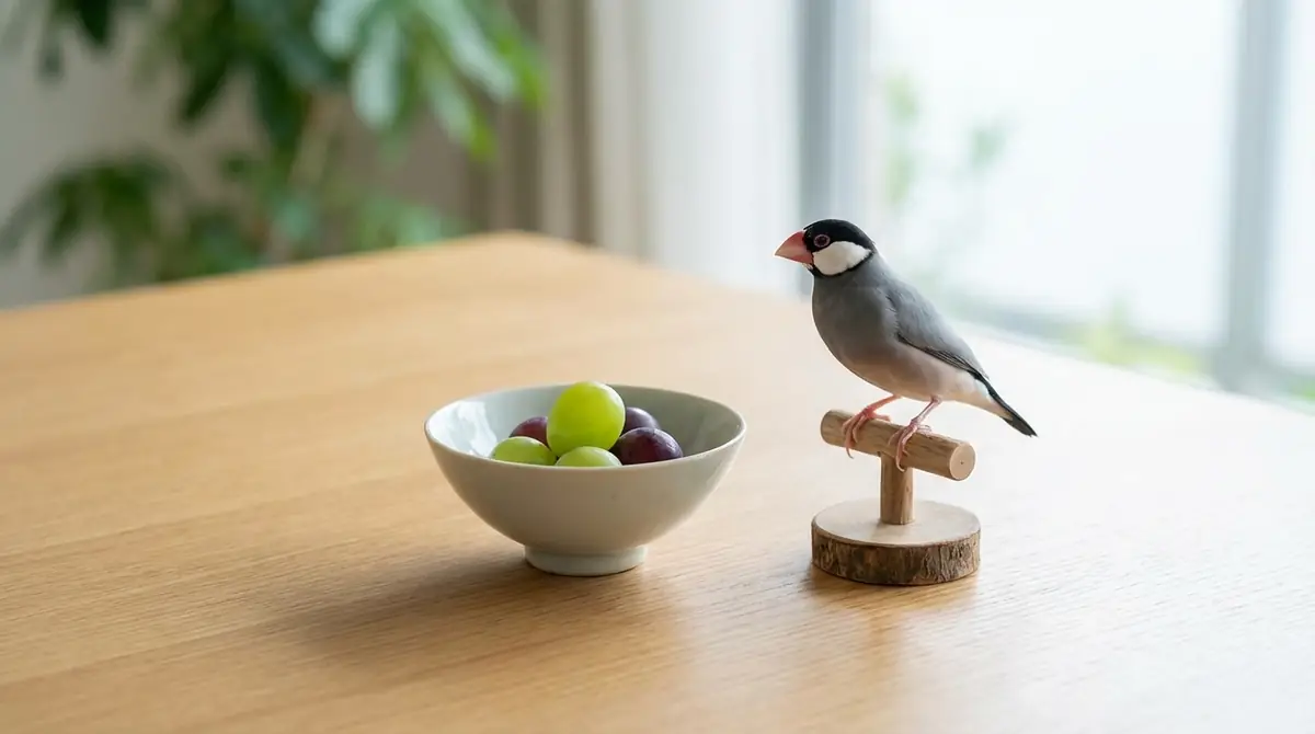 まとめ：文鳥にぶどうを与える時の5つのポイント