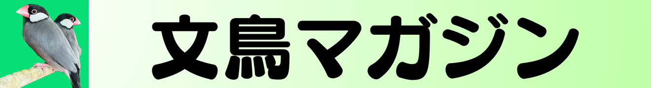文鳥マガジン